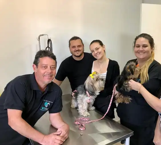 Raio-X Landing Hero Bottom Image